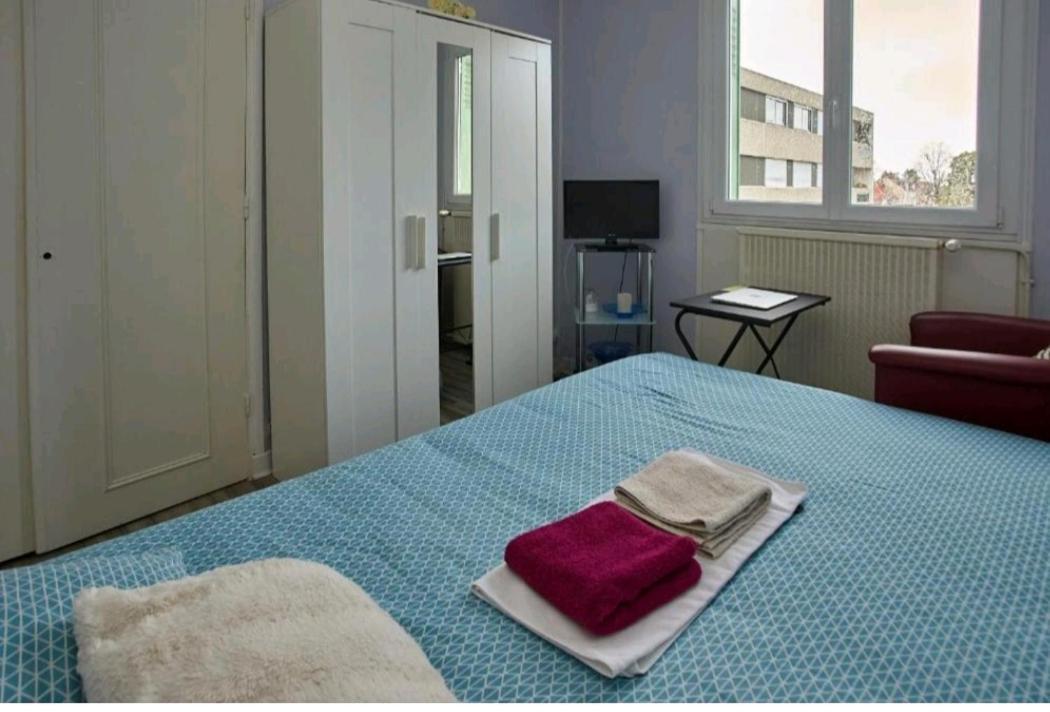 Chambres A Louer Dans Appartement Balcon - Wifi - Parking Gratuit Nevers Exterior photo